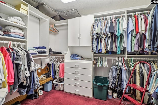 walk in closet featuring carpet flooring