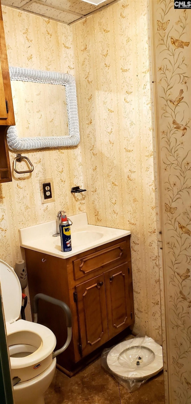 bathroom with vanity, wood walls, and toilet