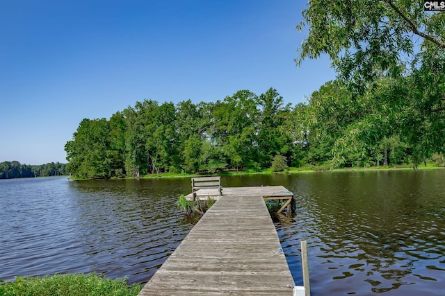 view of dock with a water view and a view of trees