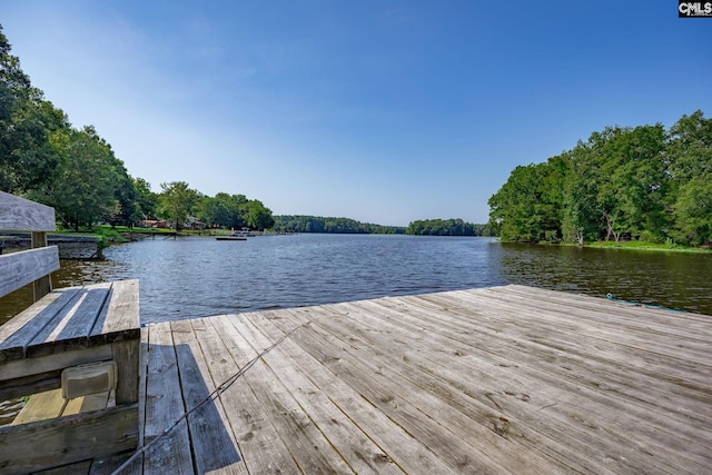 dock area featuring a water view