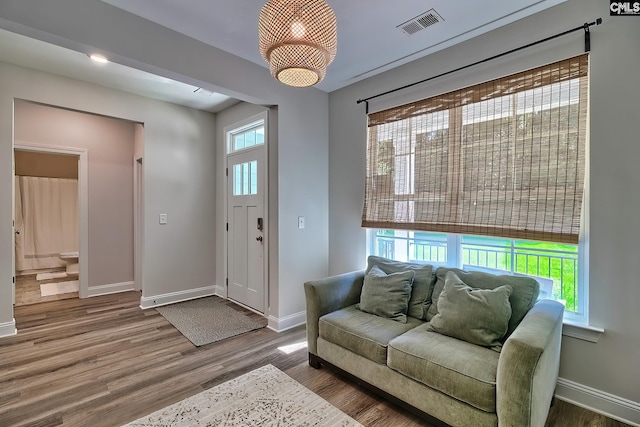 interior space featuring hardwood / wood-style floors and a healthy amount of sunlight