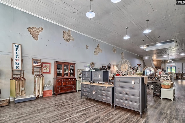 miscellaneous room featuring dark hardwood / wood-style flooring