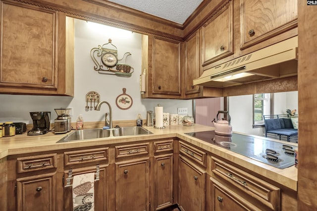 kitchen featuring brown cabinetry, a sink, a textured ceiling, under cabinet range hood, and black electric cooktop