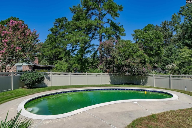 view of pool featuring a fenced in pool and a fenced backyard