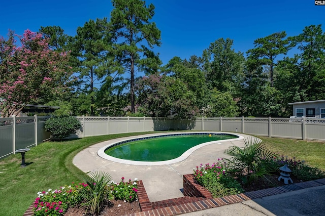 view of swimming pool featuring a fenced backyard, a fenced in pool, a lawn, and a patio