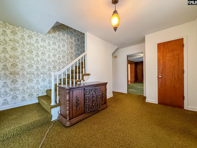 stairs featuring carpet floors