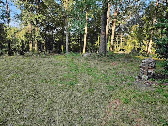 1540 Sewanee, West Columbia SC, 29169 land for sale