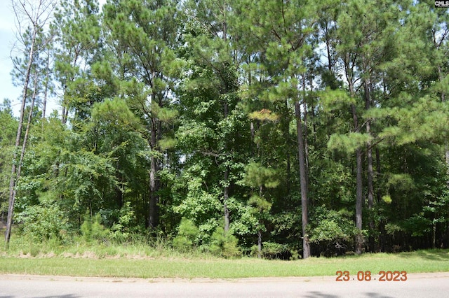 995 Retreat Way, Ridgeway SC, 29130 land for sale