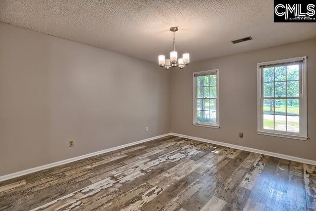 empty room with a textured ceiling, plenty of natural light, and wood-type flooring