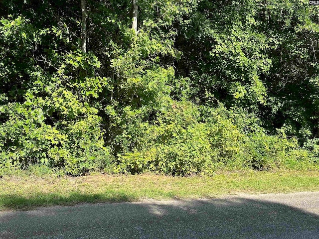 Hoover Ln, Ridgeway SC, 29130 land for sale