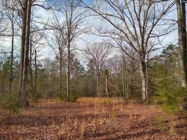 0 321st Hwy, Winnsboro SC, 29180 land for sale