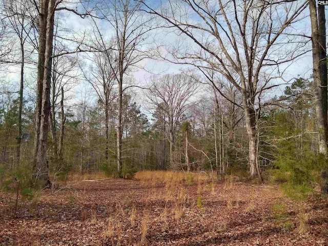 0 321st Hwy, Winnsboro, SC 29180