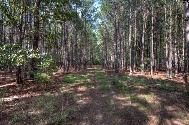 0 Bookman Rd, Elgin, SC 29045