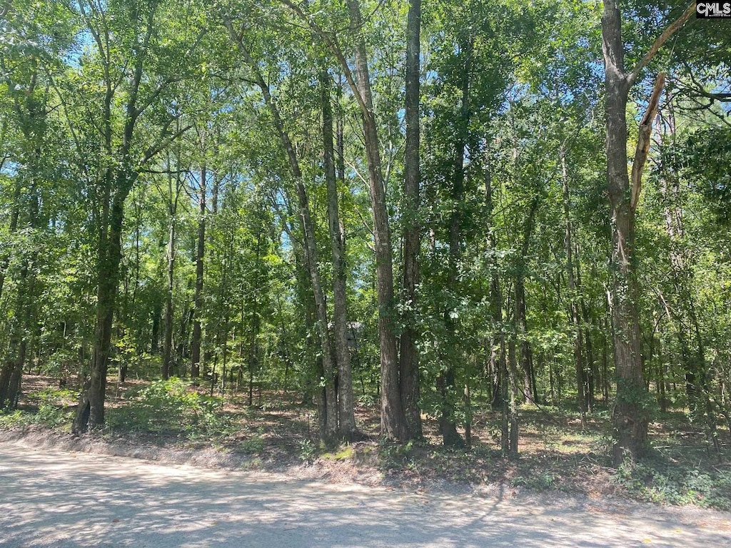 0 Mathias Rd, West Columbia, SC 29169