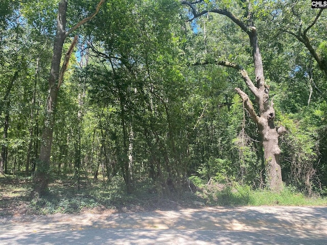 0 Mathias Rd, West Columbia, SC 29169