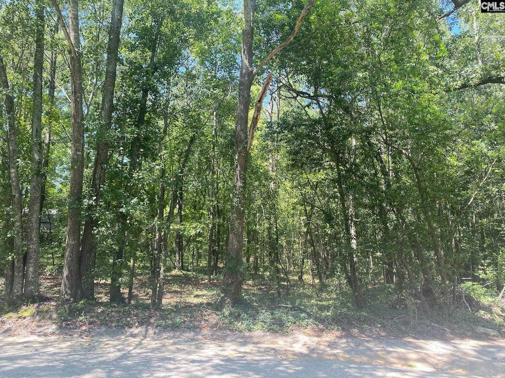 0 Mathias Rd, West Columbia, SC 29169
