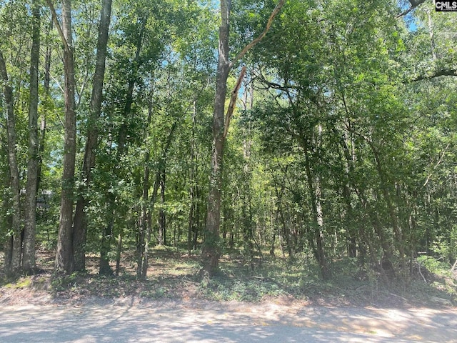0 Mathias Rd, West Columbia, SC 29169