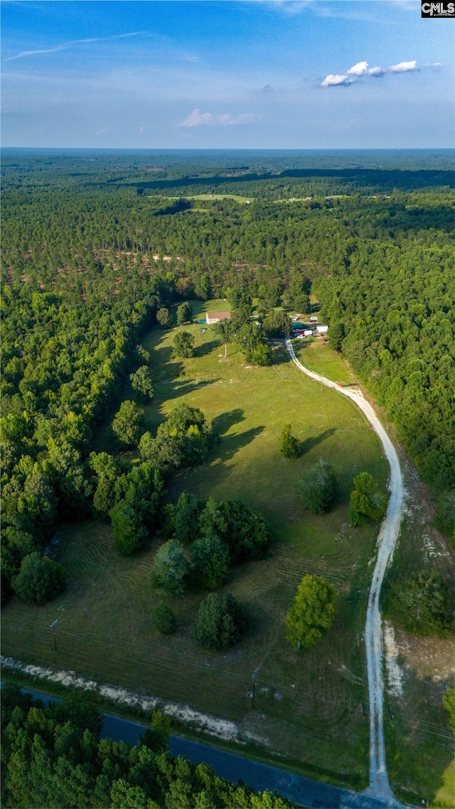 bird's eye view