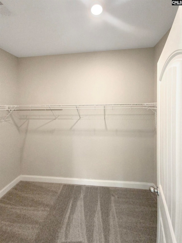 spacious closet with carpet flooring