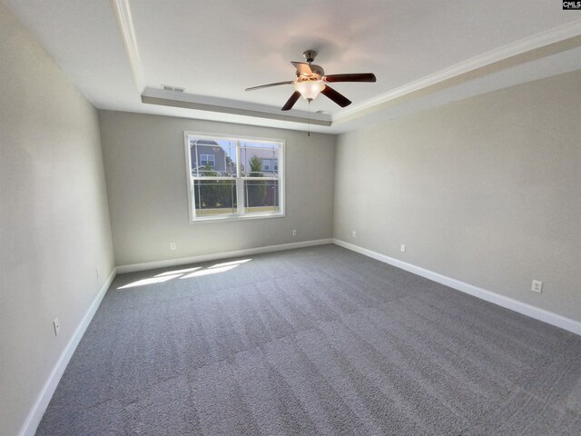 spare room featuring carpet and a tray ceiling