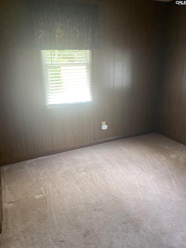 carpeted spare room with wood walls