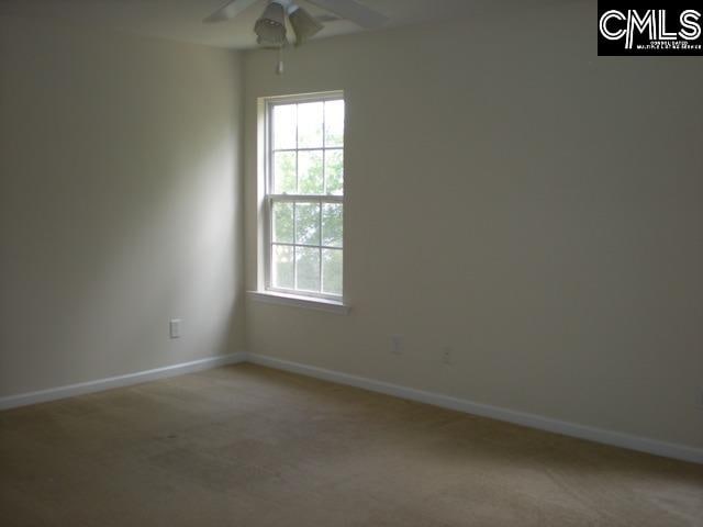 unfurnished room with a wealth of natural light, carpet flooring, and ceiling fan