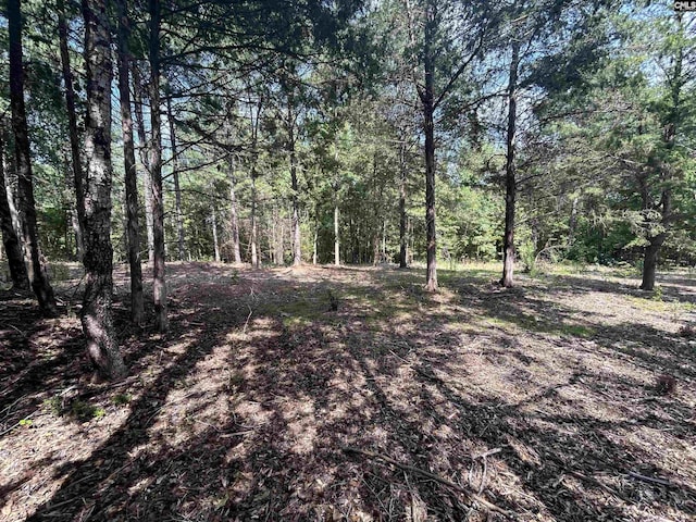 5630 Woodsferry Rd, Carlisle, SC 29031
