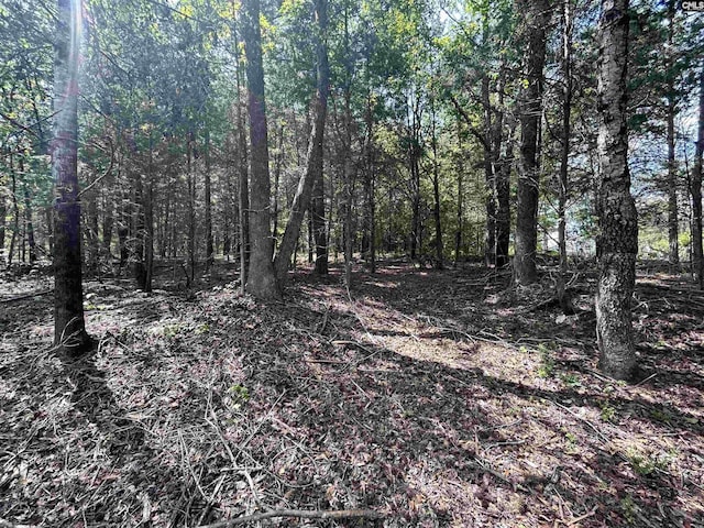 5630 Woodsferry Rd, Carlisle, SC 29031