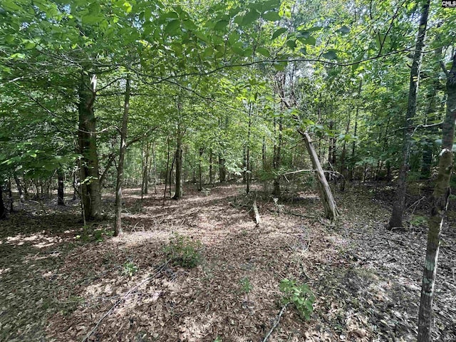 5630 Woodsferry Rd, Carlisle, SC 29031