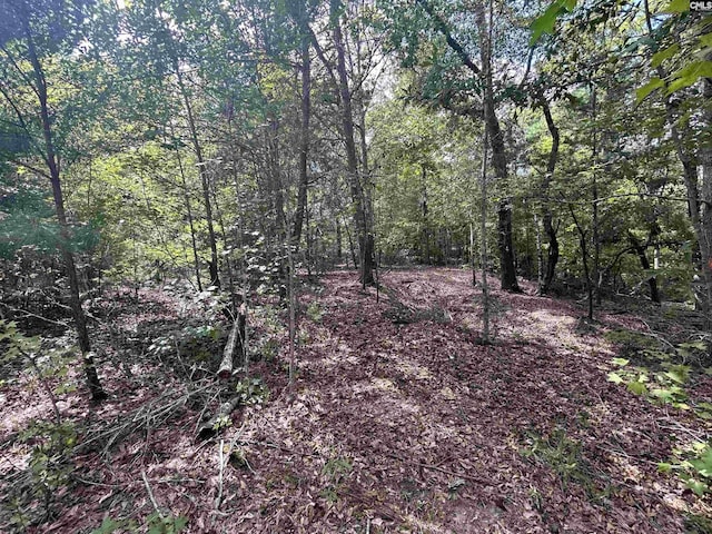 5630 Woodsferry Rd, Carlisle, SC 29031