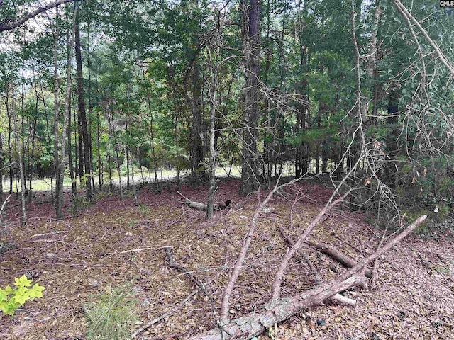 5630 Woodsferry Rd, Carlisle, SC 29031