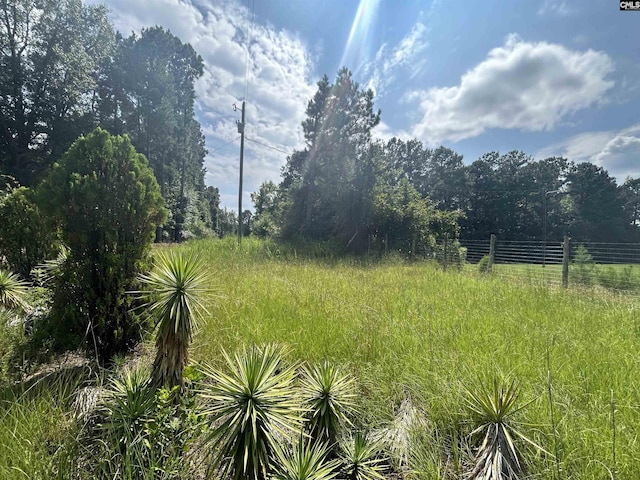 5630 Woodsferry Rd, Carlisle, SC 29031