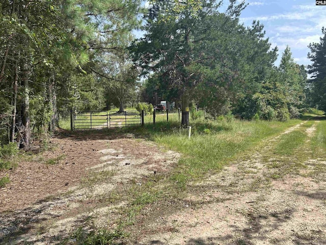 5630 Woodsferry Rd, Carlisle, SC 29031