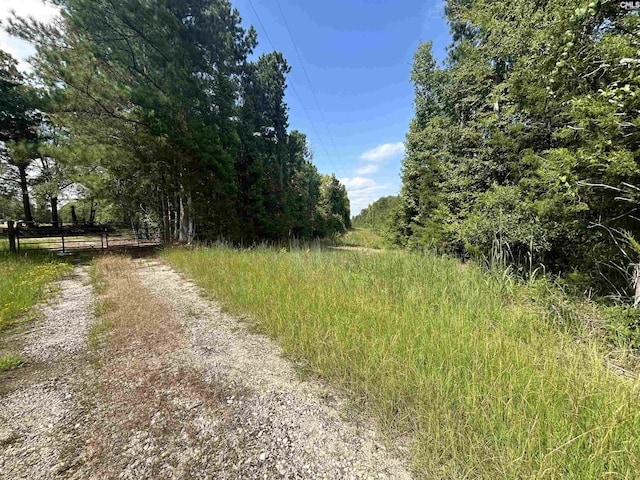 5630 Woodsferry Rd, Carlisle, SC 29031