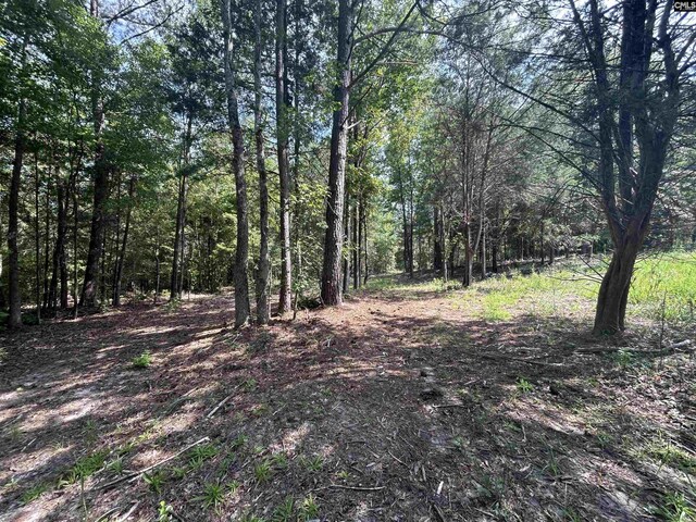 5630 Woodsferry Rd, Carlisle, SC 29031