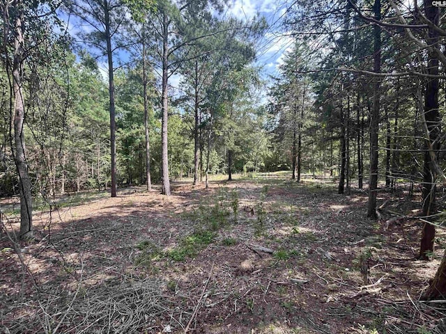 5630 Woodsferry Rd, Carlisle, SC 29031
