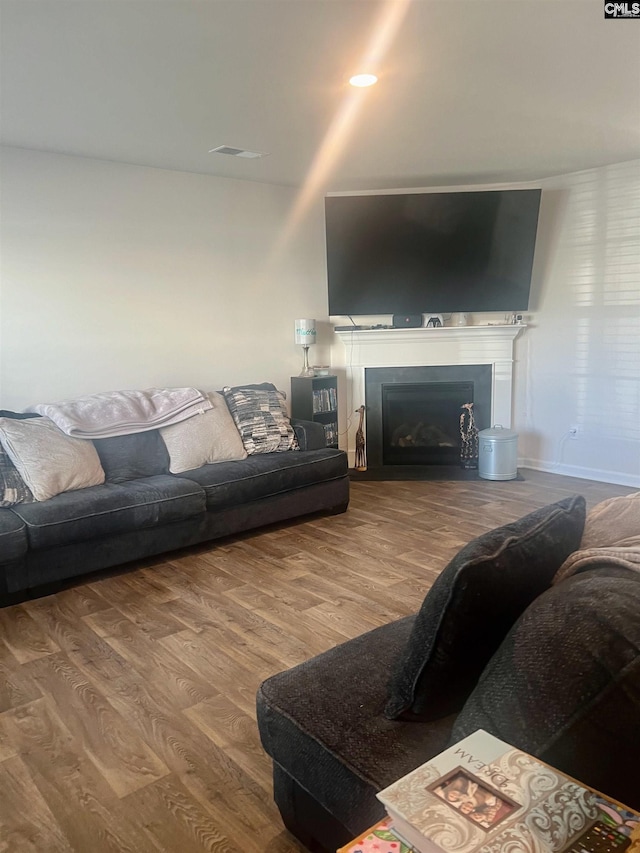 living room with hardwood / wood-style floors