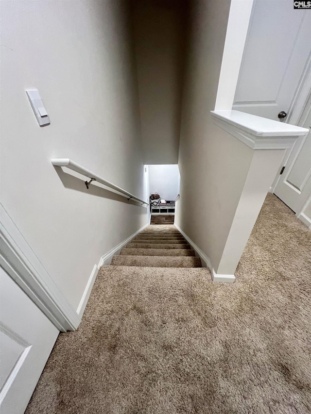 stairway featuring carpet flooring