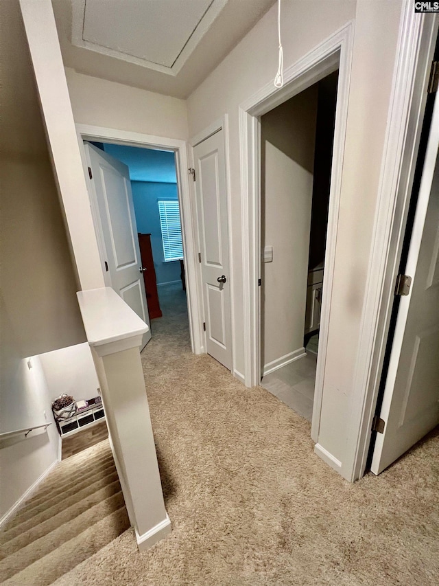 hallway featuring light colored carpet