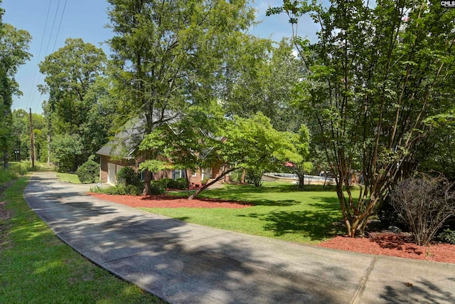 view of community featuring a lawn