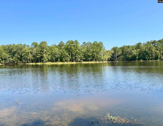 property view of water with a forest view