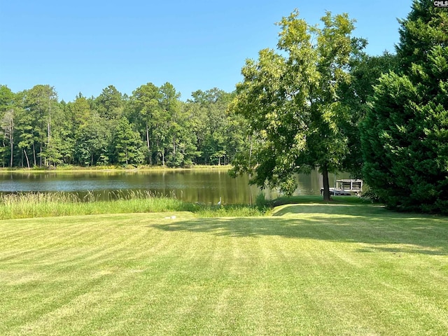 view of yard with a water view