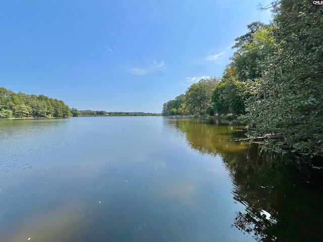 water view with a view of trees