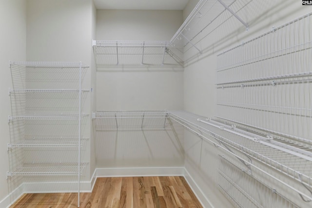 walk in closet with hardwood / wood-style flooring