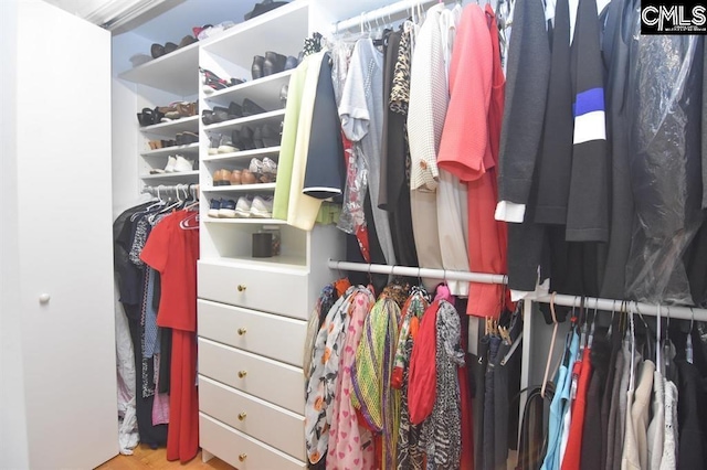 spacious closet featuring light hardwood / wood-style floors