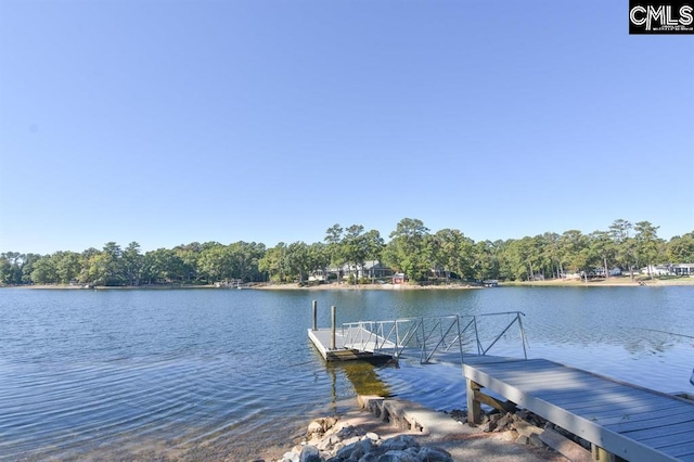 dock area with a water view