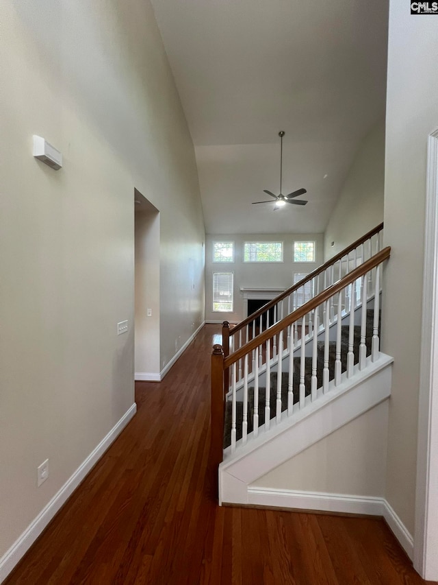 hall with high vaulted ceiling and dark hardwood / wood-style flooring