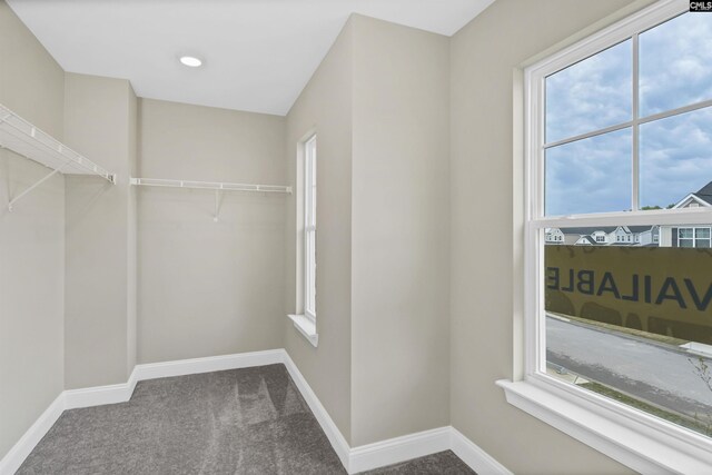 walk in closet featuring carpet floors