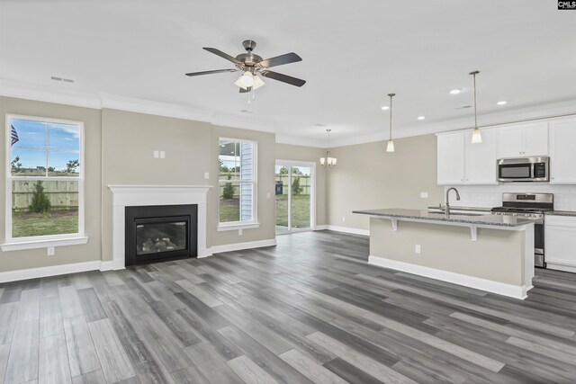 kitchen with plenty of natural light, stainless steel appliances, and white cabinetry