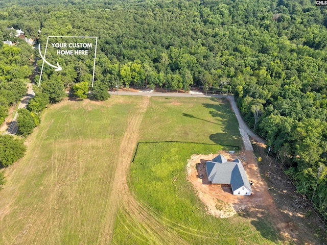 drone / aerial view featuring a rural view